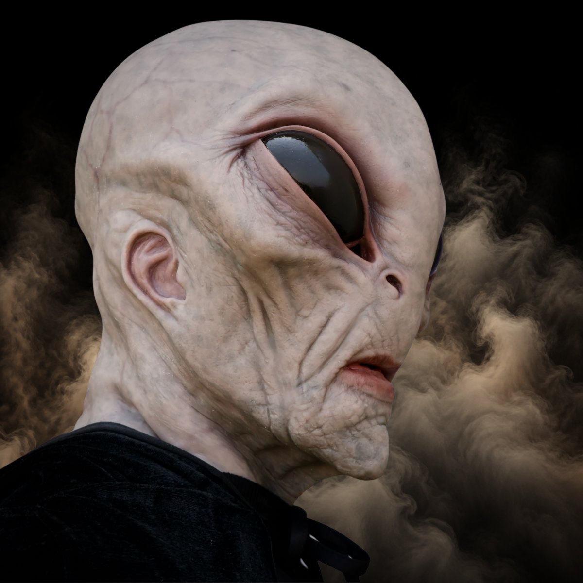 Three quarter view of a grey alien mask showing the cheekbone and jaw